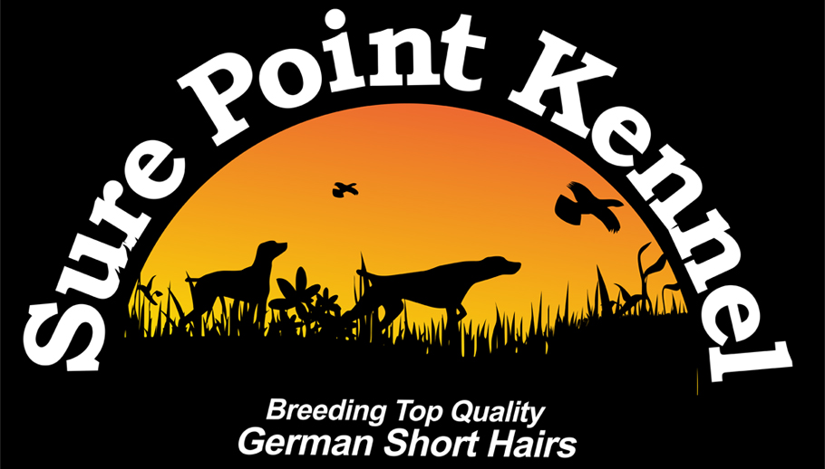 Surepoint Kennels GSP breeder
